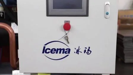 15-тонная фабрика напрямую продает автоматическую машину для льда с рассолом